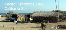 Fishcamps, Baja California Sur