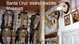 SCRI Saddle Museum